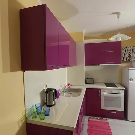 South * 오브조르