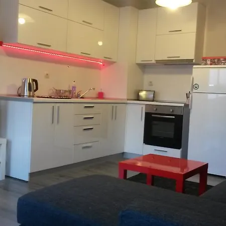 South * 오브조르