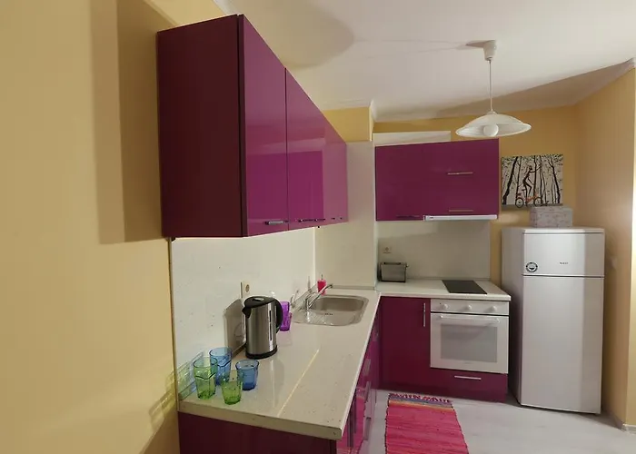 South * אובזור