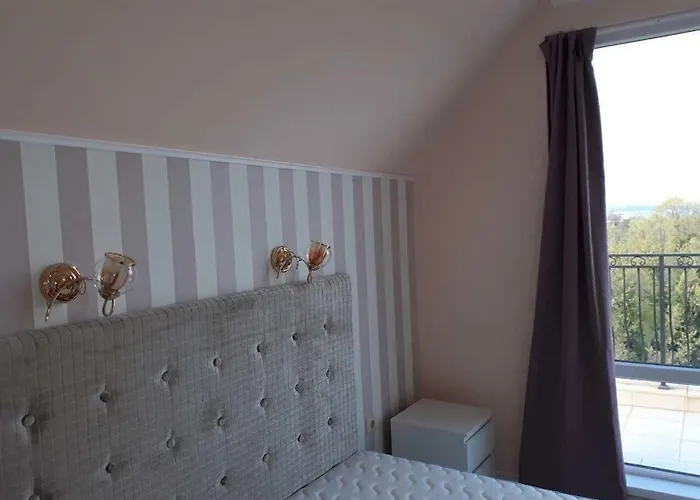 South * אובזור